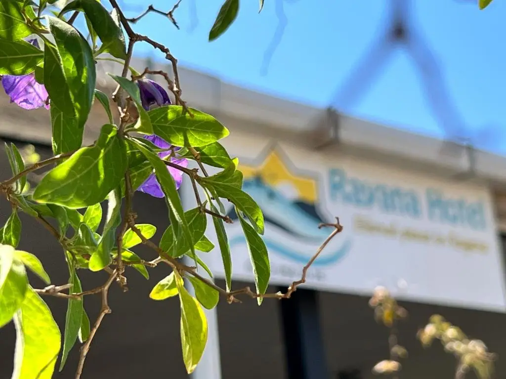 Бозбурун: Rayana Hotel