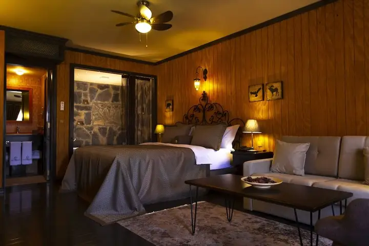 Сайл: The Swanpark Hotel