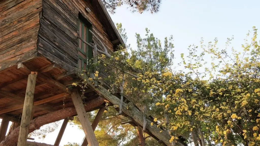 Кумлуджа: HavaSuPark Bungalows