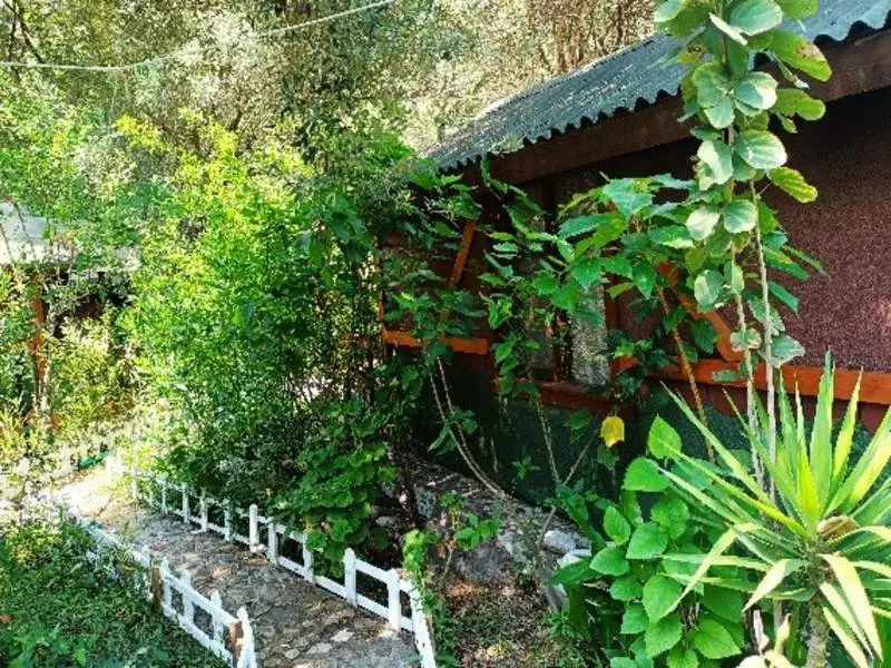 Canario Bungalows Pension — фото 1