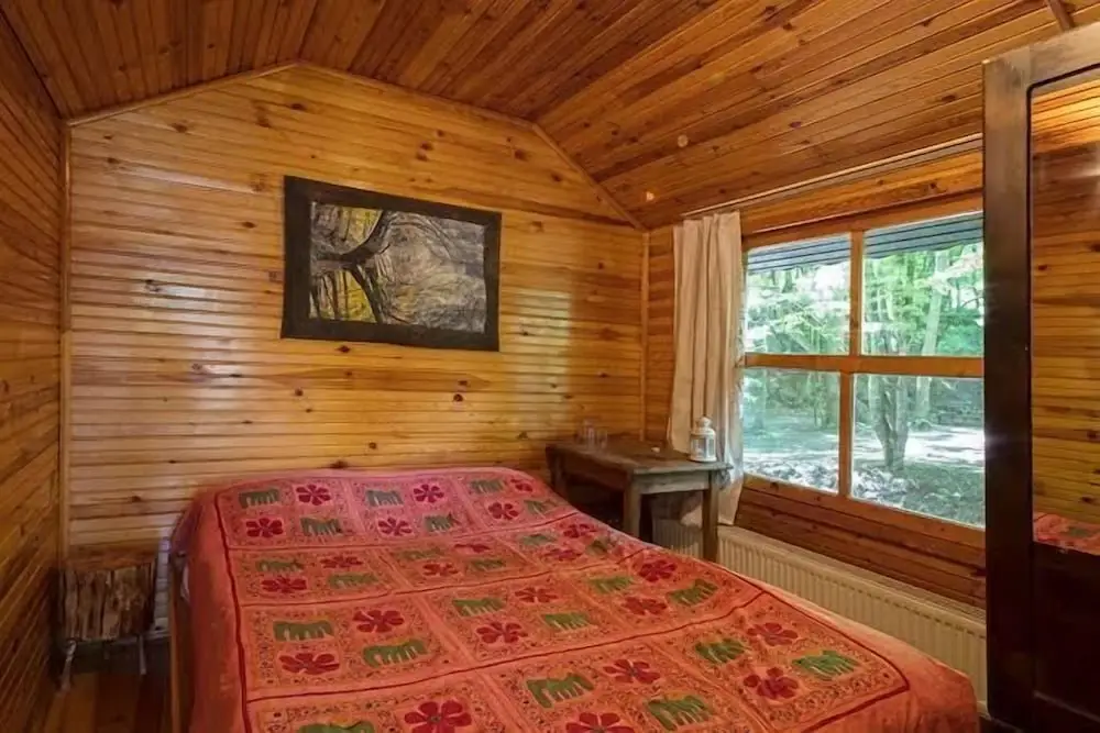 Дикили: Dikili Papaya Evleri Tatil Koyu