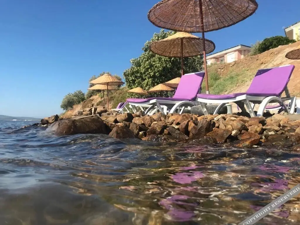 Айвалык: Efruze Otel