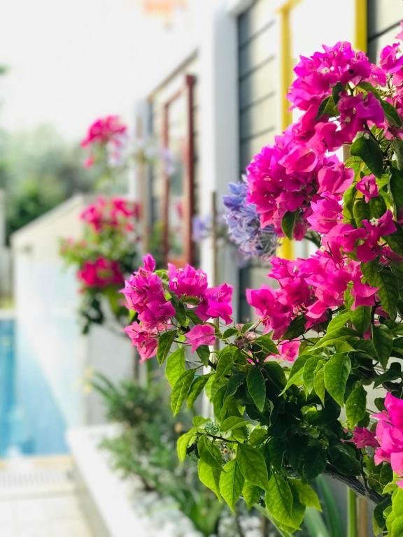 Cesme Life Otel — фото 1