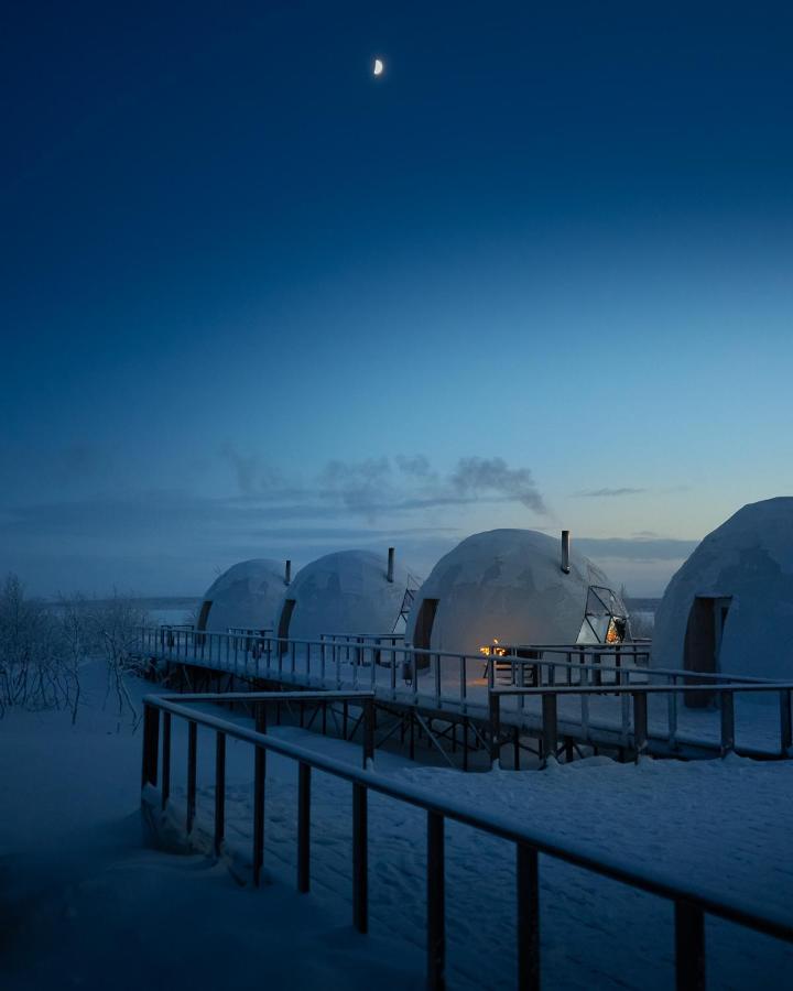 Мурманск: Глэмпинг Aurora Village Murmansk