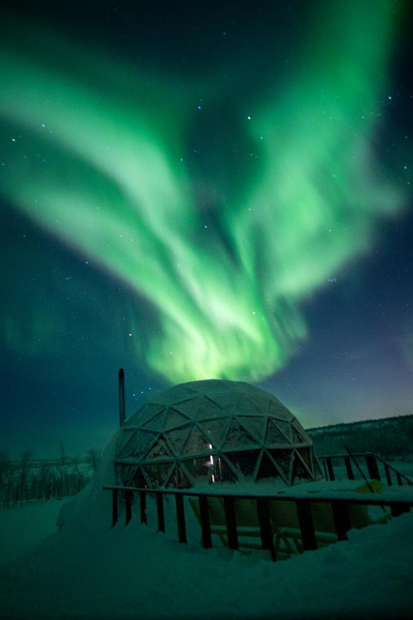 Мурманск: Глэмпинг Aurora Village Murmansk