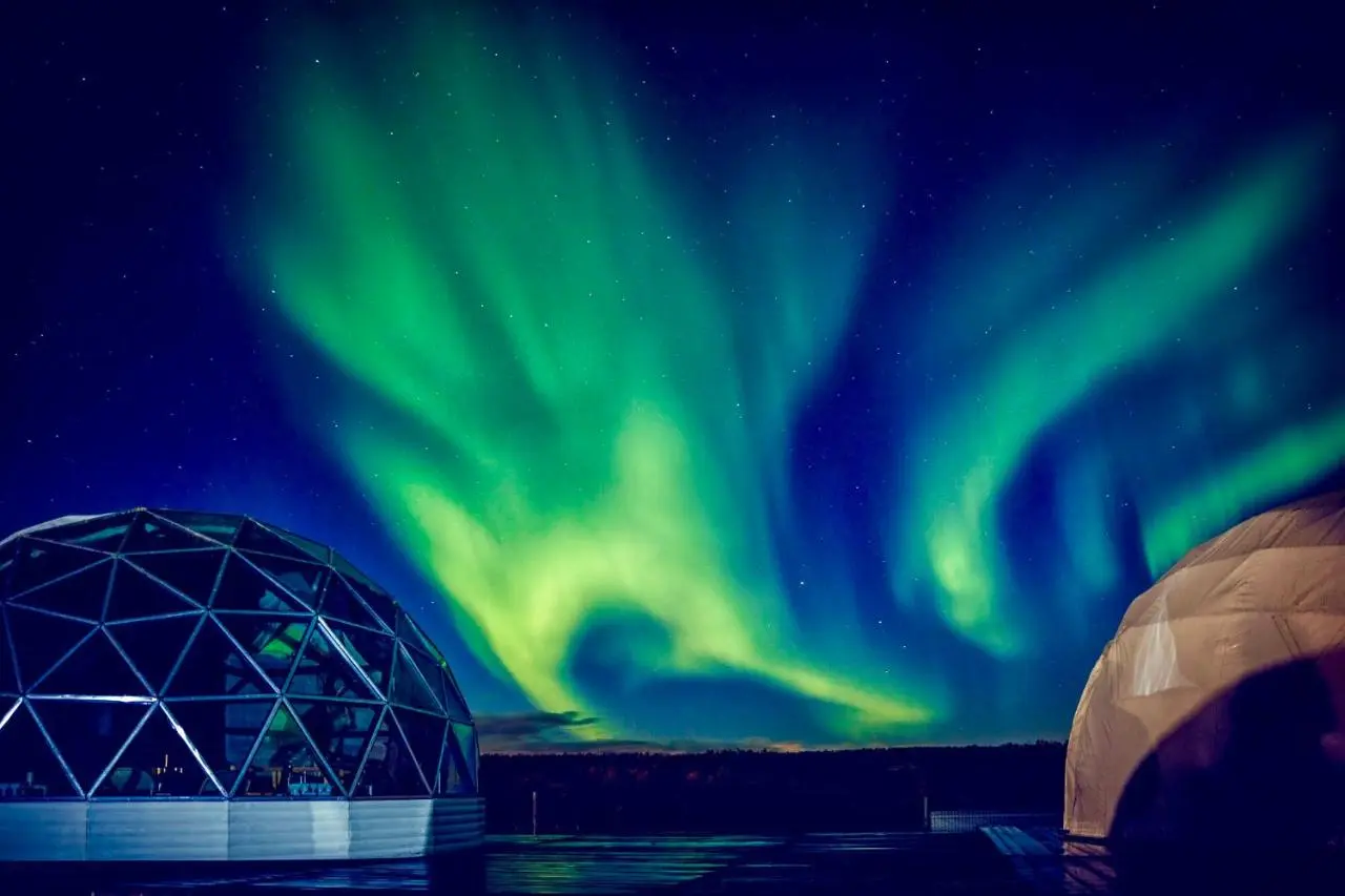 Мурманск: Глэмпинг Aurora Village Murmansk
