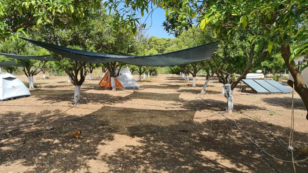 Гёйнюк: Мини-отель Orange beach camp caravan club
