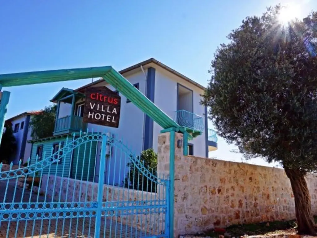 Стамбул: Citrus Hotel and Villa