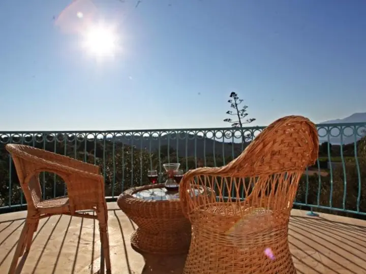 Стамбул: Citrus Hotel and Villa