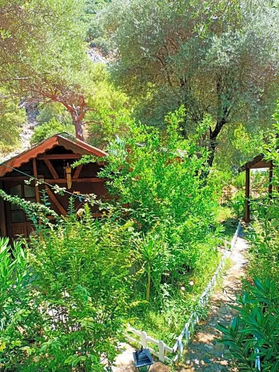Кумлуджа: Canario Bungalows
