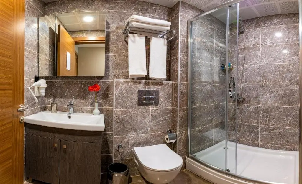 Стамбул: Dizayn Hotel
