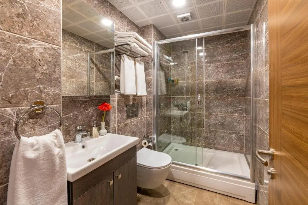 Стамбул: Dizayn Hotel