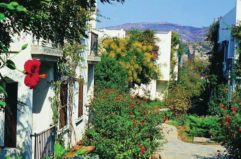 Bodrum Garden Hotel — фото 1
