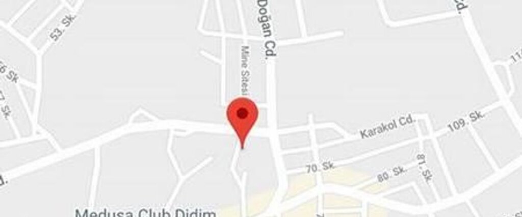 Дидим: Didim Golden Beach Otel