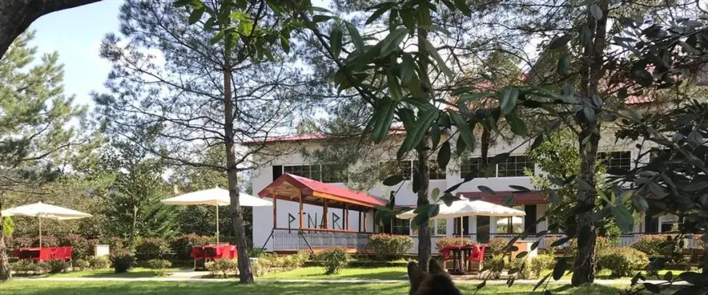 Дереусту: pınar kır evi
