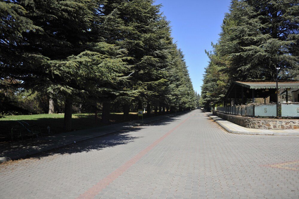 Sarar Boutique & Apart Hotel — фото 1