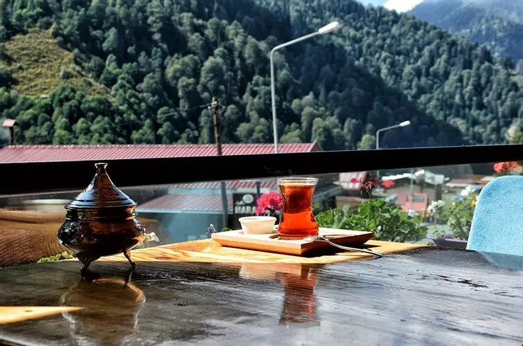 Чамлыхемшин: Memisoglu Konak Hotel