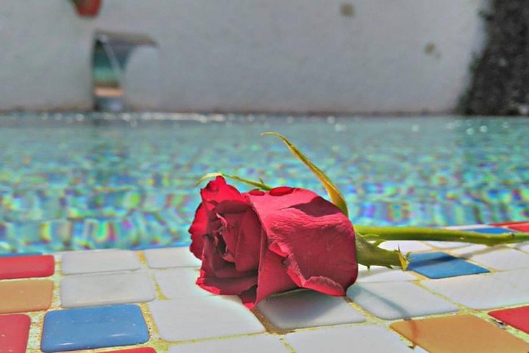 Чешме: Alacati Monreve Hotel