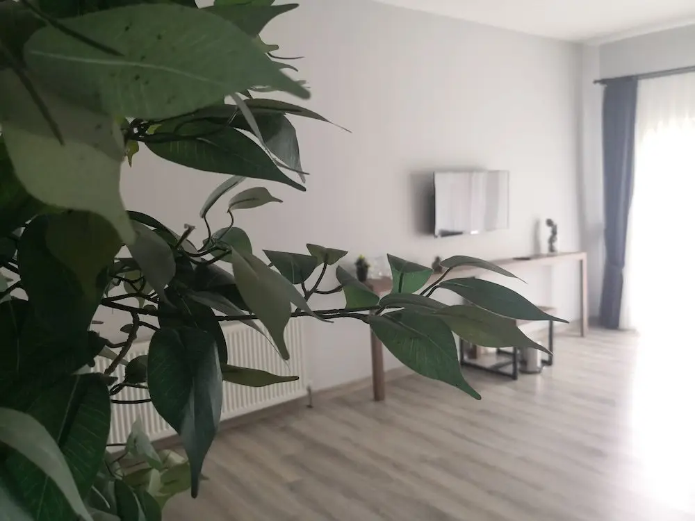 Стамбул: HBS Boutique Hotel & Restaurant