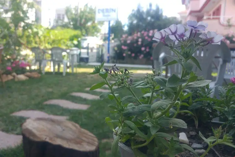 Сыгаджик: Derin Pansiyon
