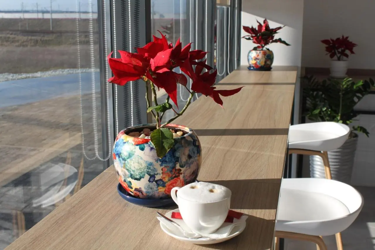 Тамань: Fanagoria Port Hotel