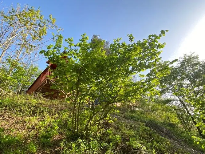 Сакарья: Sapanca Villa Aşiyan
