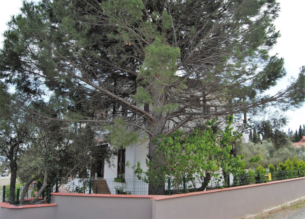Beyaz Konak Gure — фото 1