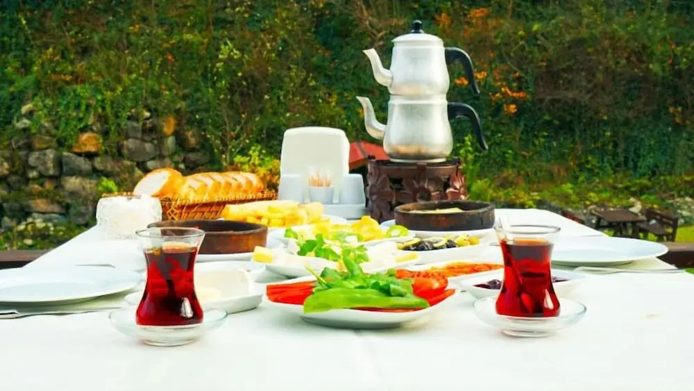 Сакарья: Aşina Motel Restorant