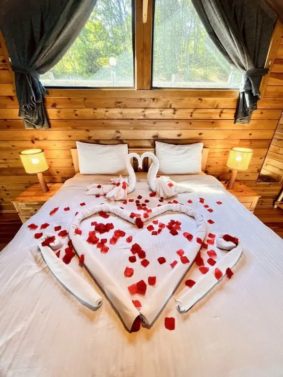 Сакарья: Woodlodge Country Sapanca