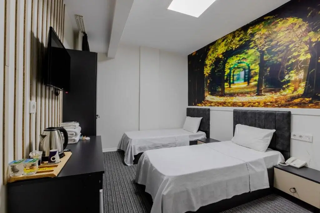 Арнавуткёй: Acar Airport Hotel Plus