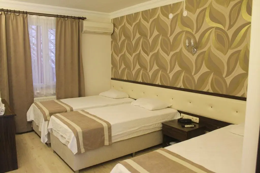 Ардешен: Patulya Otel