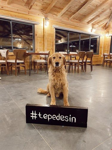 Ардешен: Tepedebiyer Restaurant & Bungalov