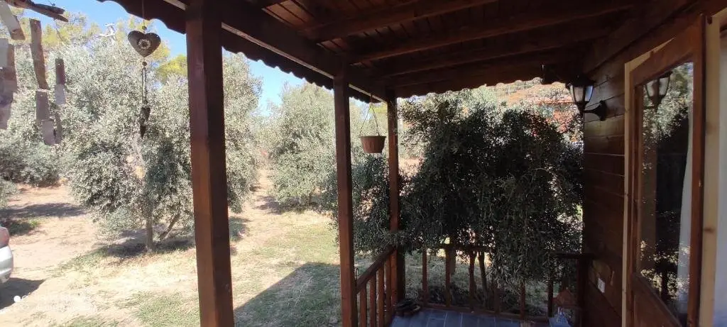 Фетхие: Olive Garden Bungalow