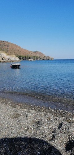 Датча: Kuruyanos Ağaç Evleri