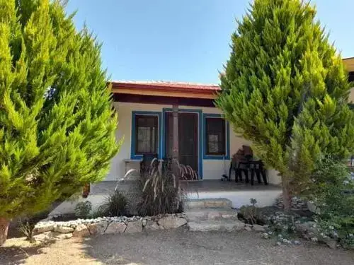 Датча: Payam Çiçeği Tatil Evleri