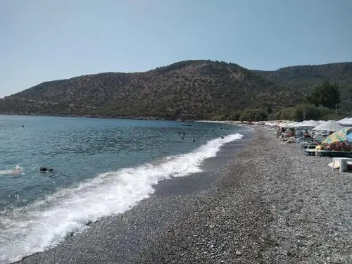 Payam Çiçeği Tatil Evleri — фото 1