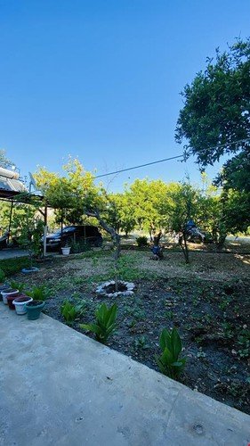 Датча: Acelya Koy Evi Apart