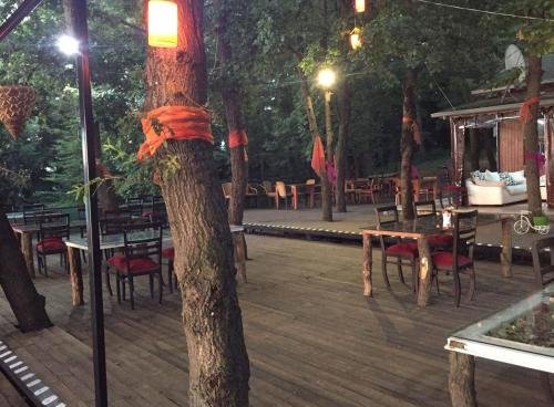 Сакарья: Sakarya İl Ormanı Tabiat Parkı Bungalow - Halal
