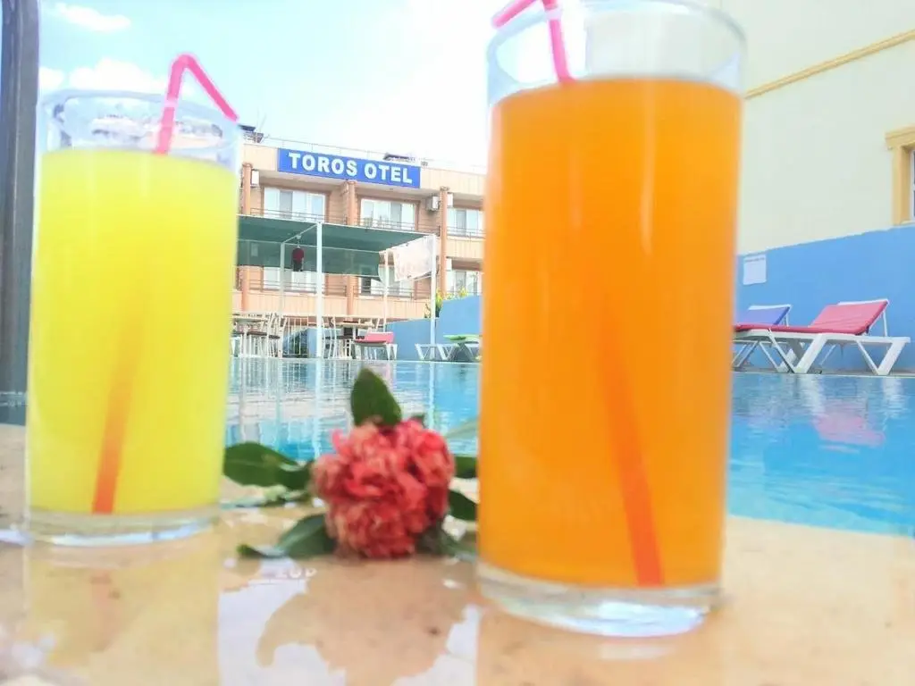 Дидим: Toros Hotel