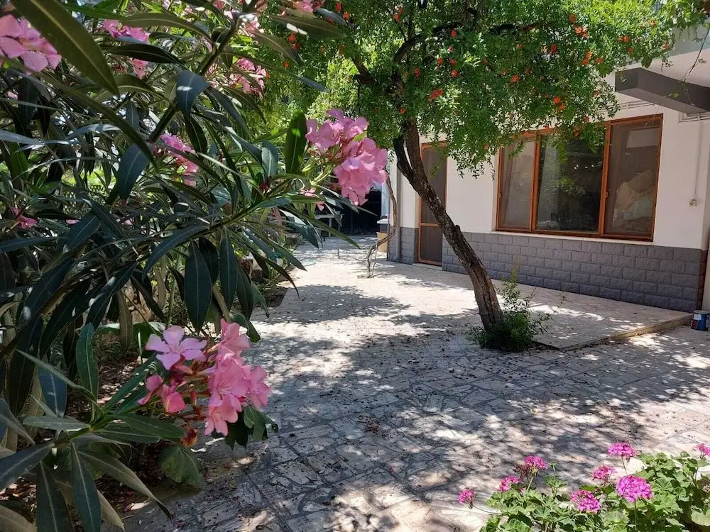 Эдремит: Thassos Apart Otel