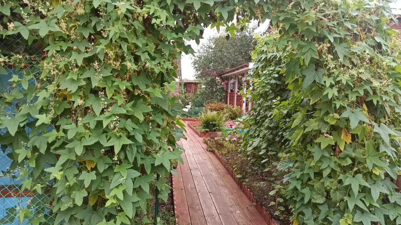 Дивеево: Guest house Vostochnaya 27