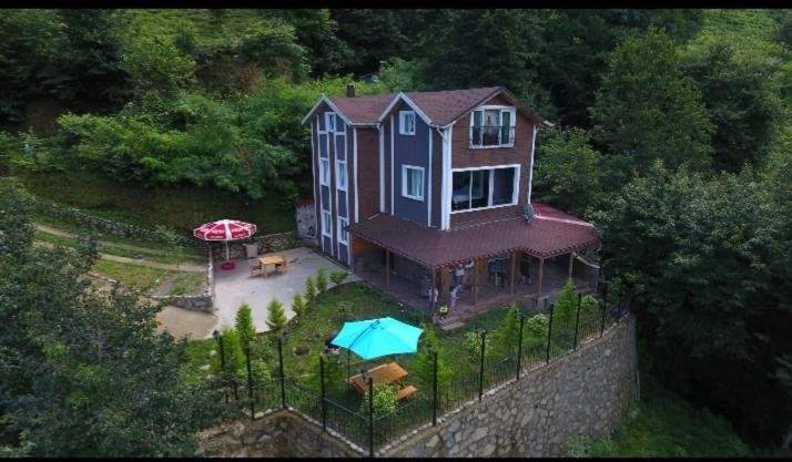 Ардешен: Petra Suit Bungalov Villa