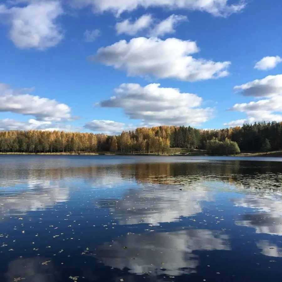 Vladimirskoye: Шале у озера