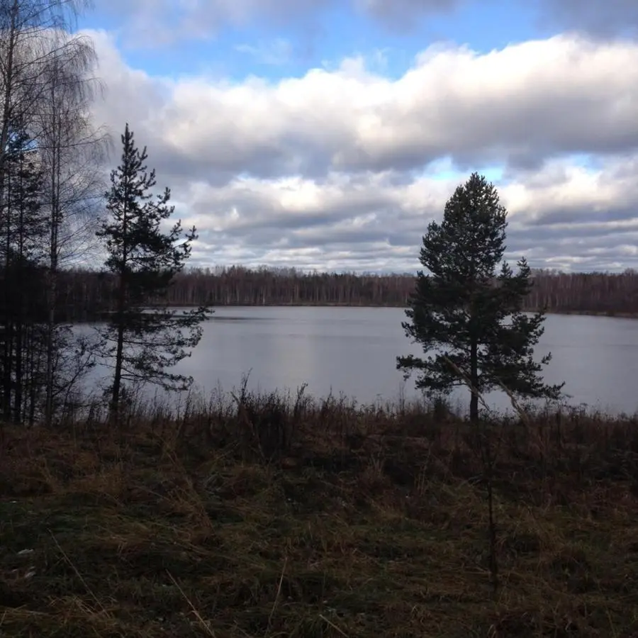 Vladimirskoye: Шале у озера
