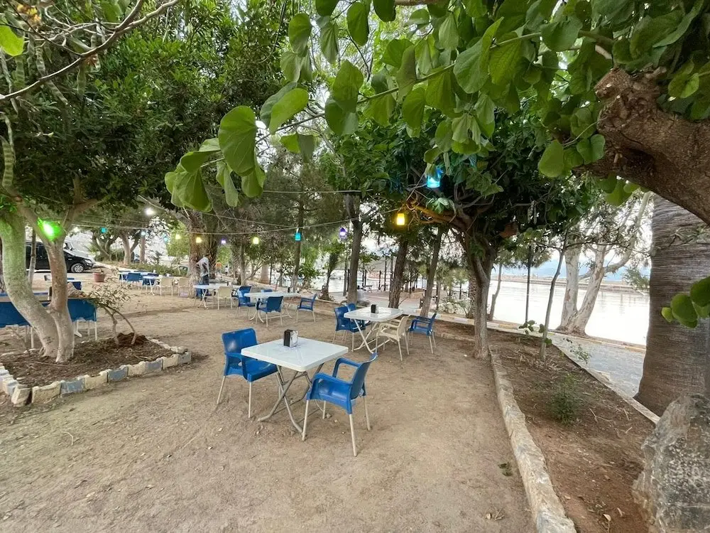 Buyukeceli: Ünlü Konaklama Kafe