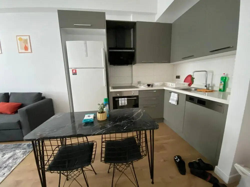 Comfy Flat With Central Location in Fikirtepe — фото 1
