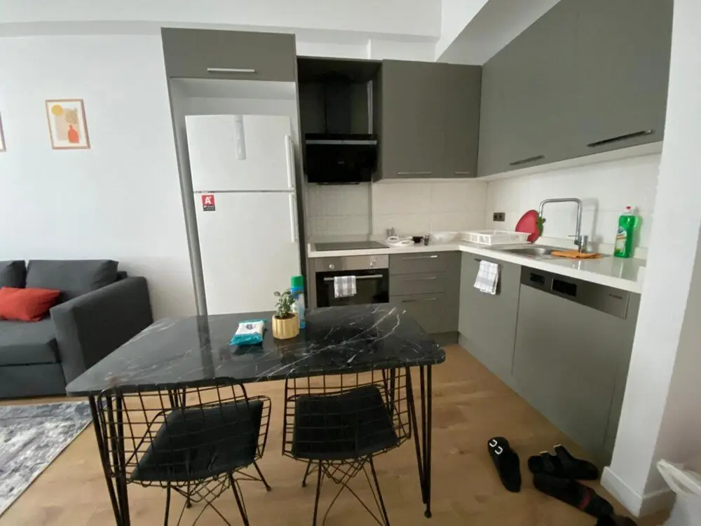 Стамбул: Comfy Flat With Central Location in Fikirtepe