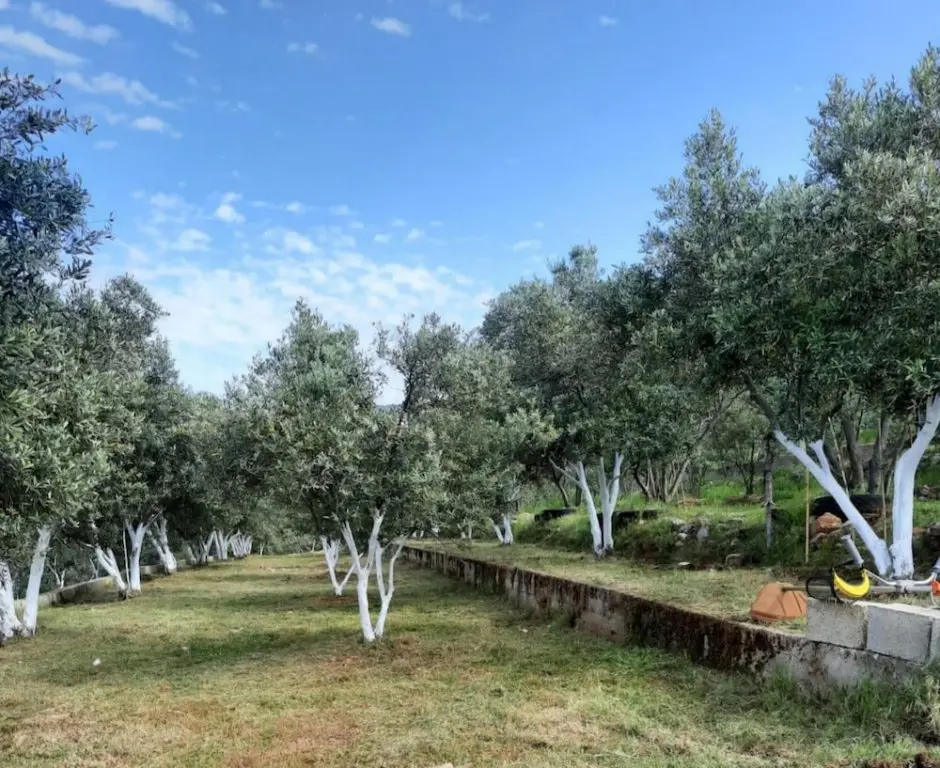 Фетхие: Charming House With Nature View in Fethiye