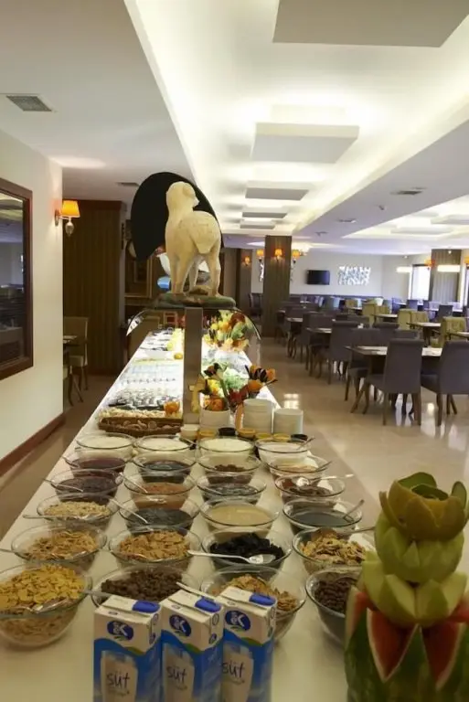 Эскишехир: Reyna Premıum Hotel