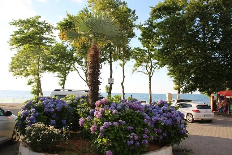 Дюздже: DENIZ YıLDıZı PANSIYON